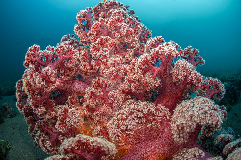 Photograph by Савин Андрей