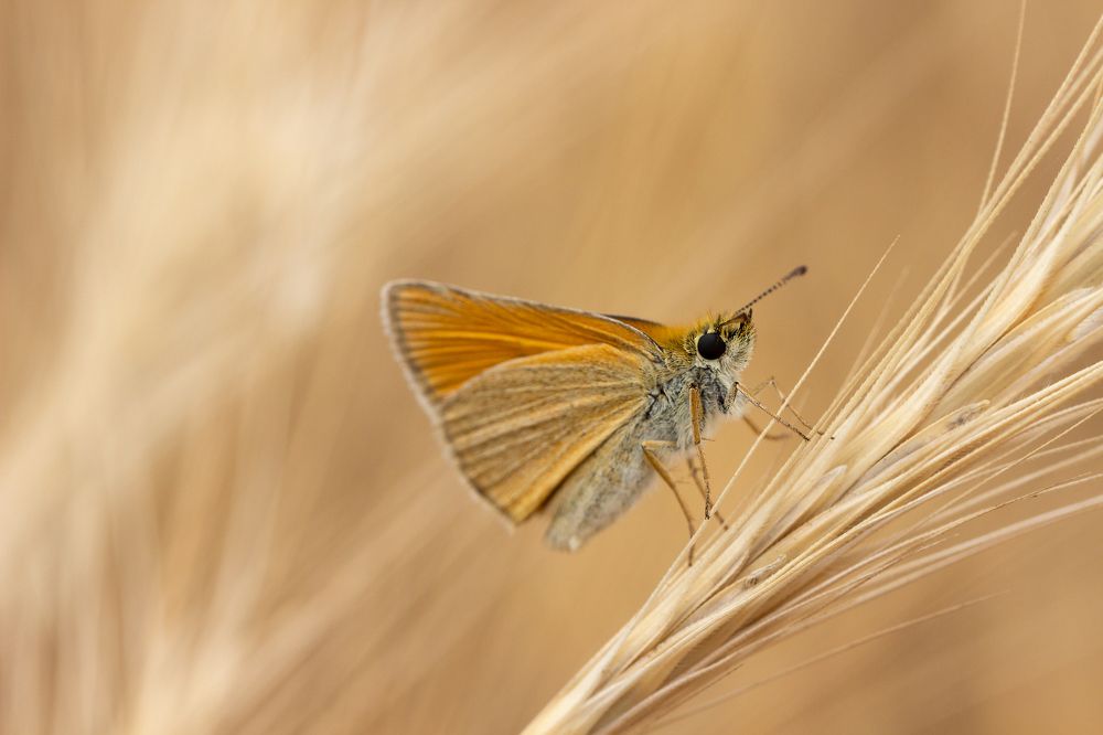 Photograph by Nastya Perekhodkina