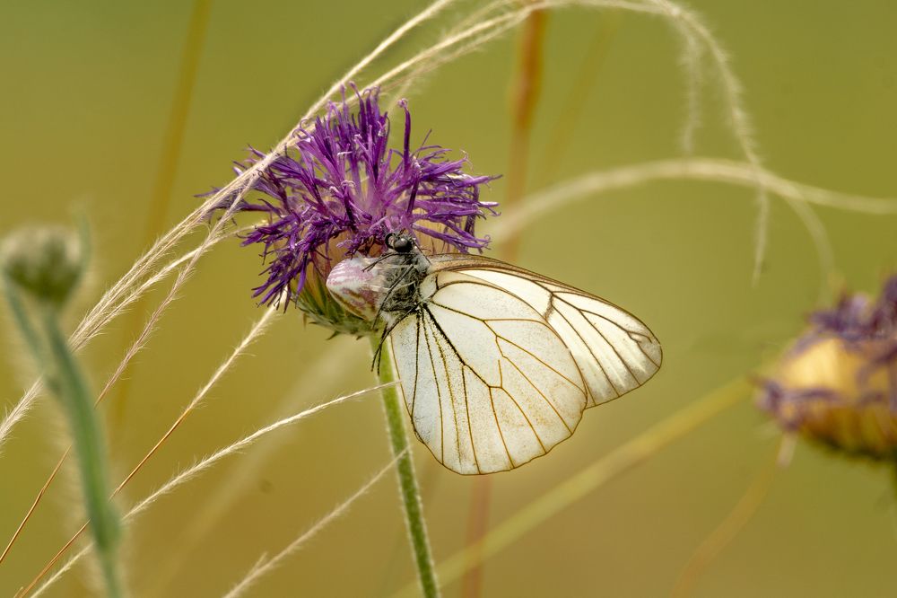 Photograph by Виталий Абдразаков