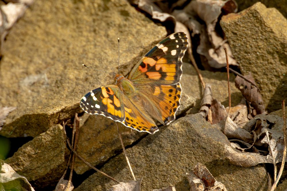Photograph by Виталий Абдразаков
