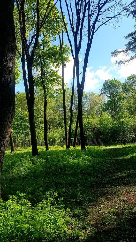 Photograph by Marina Kozlova