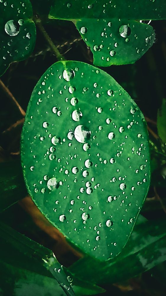 Photograph by Ambewadikar sourabh