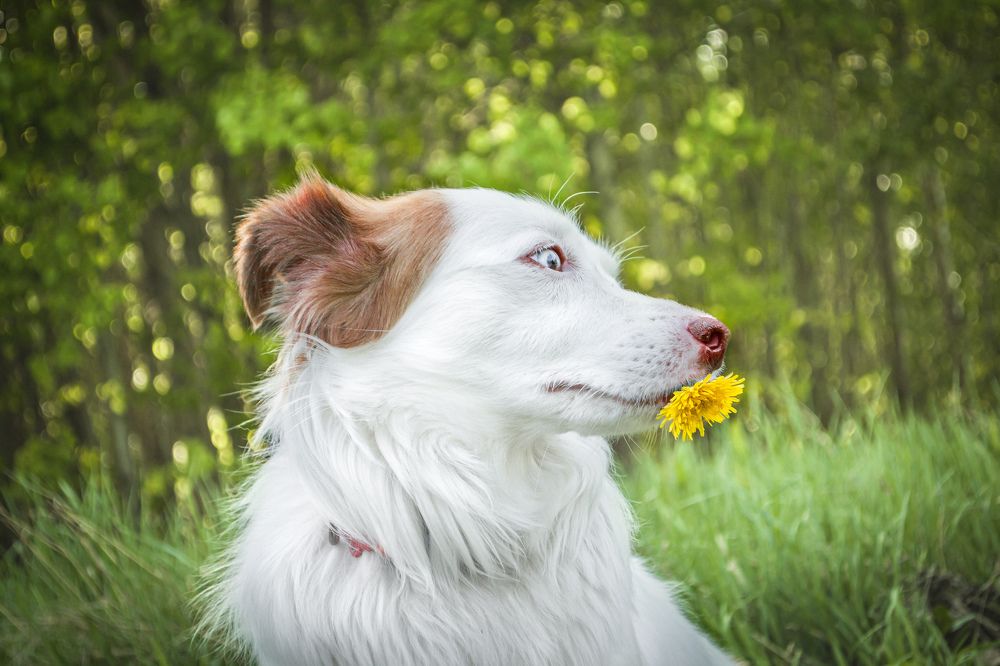 Photograph by Анна Фирсова