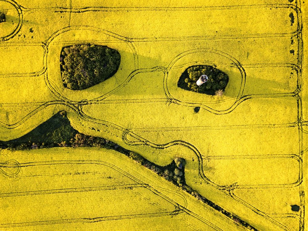 Photograph by Ovidiu GABOR