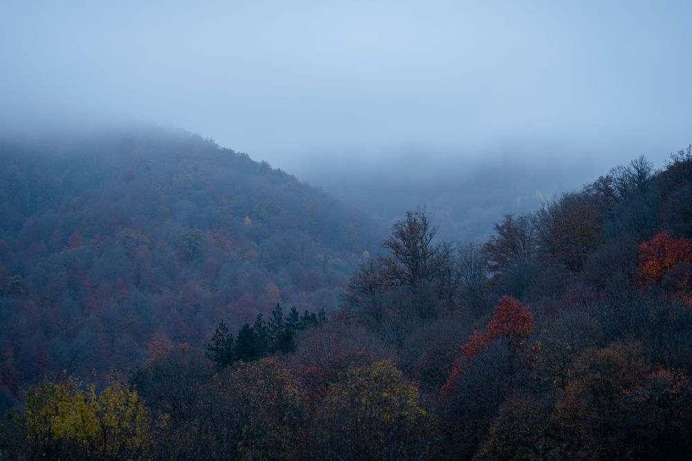 Photograph by Xenia Suvorova