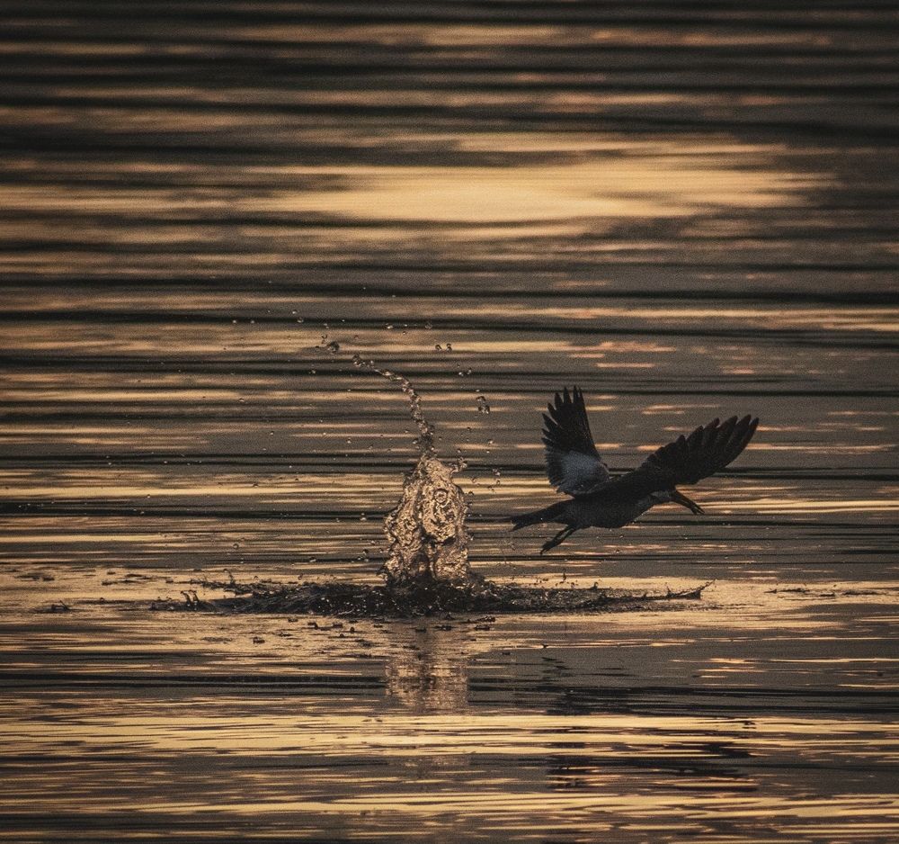 Photograph by Steban Duke