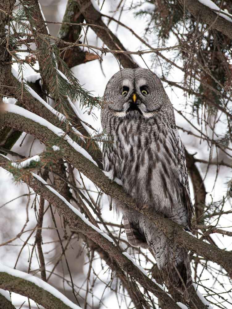 Photograph by Sofia Belyaeva