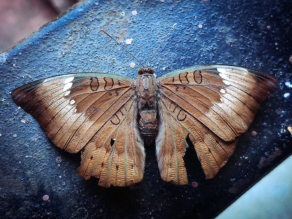 Photograph by Ambewadikar sourabh