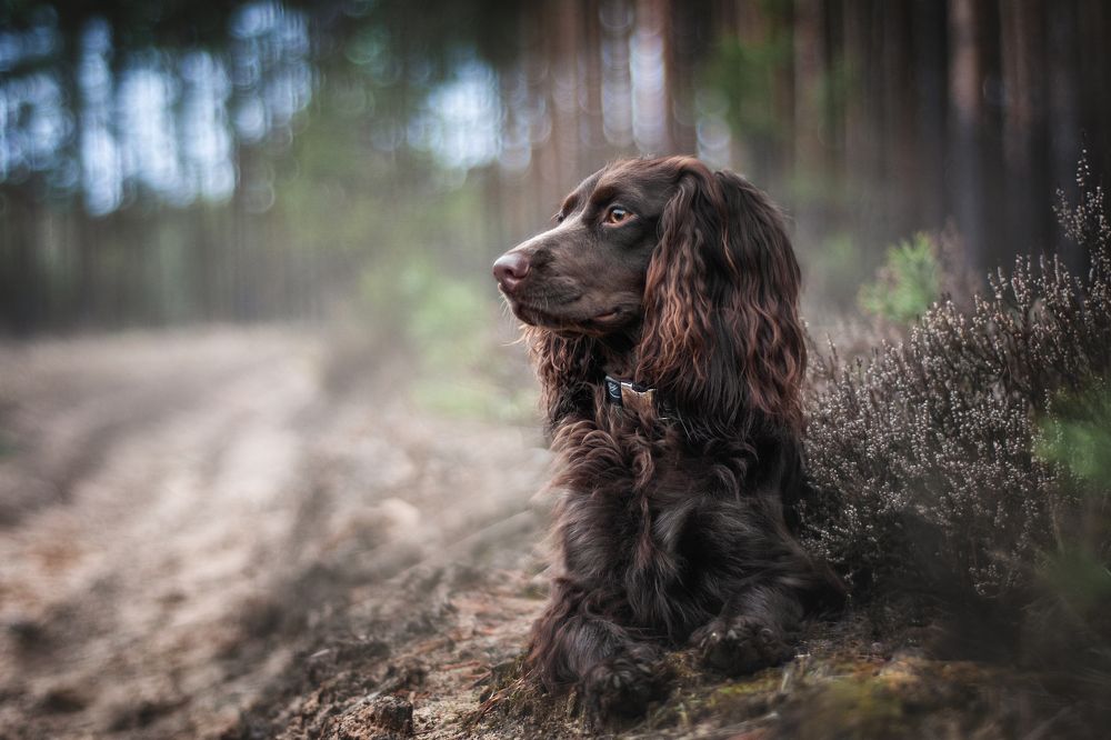 Photograph by Динара Зуйкова