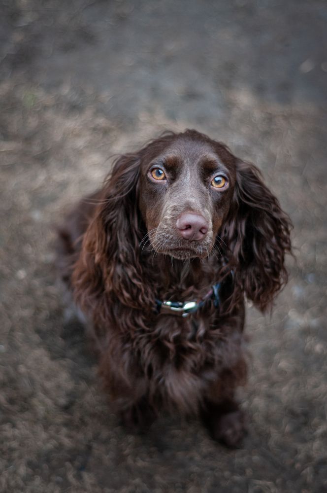 Photograph by Динара Зуйкова