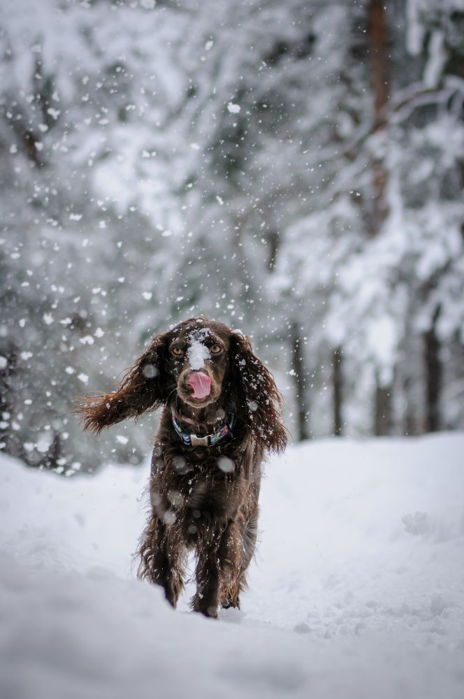 Photograph by Динара Зуйкова