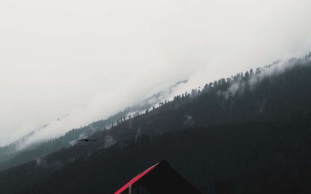 Photograph by Abdullah Ahmad