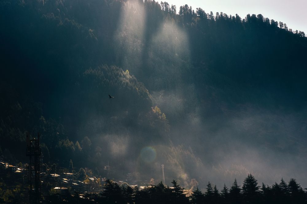 Photograph by Abdullah Ahmad