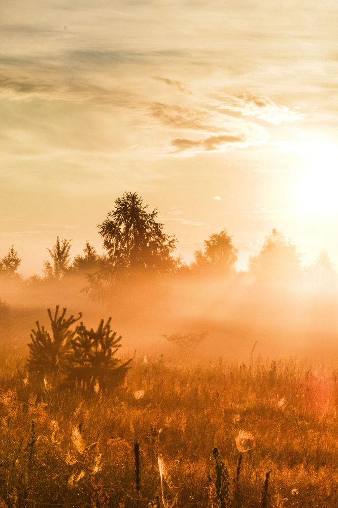 Photograph by Денис Мазычев