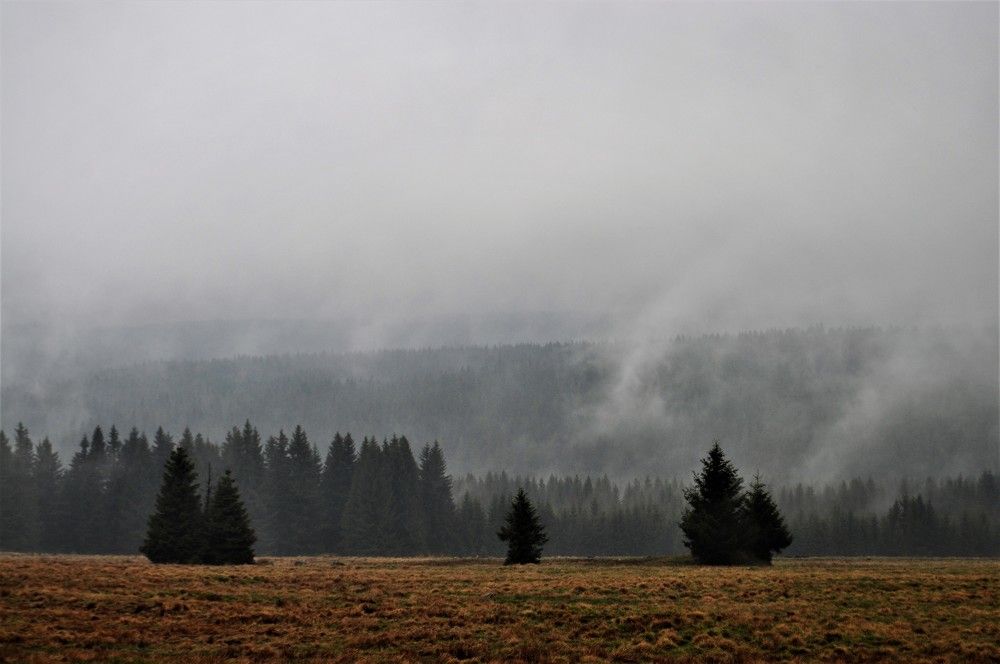 Photograph by Zdeňka Hudcová