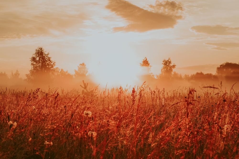 Photograph by Денис Мазычев