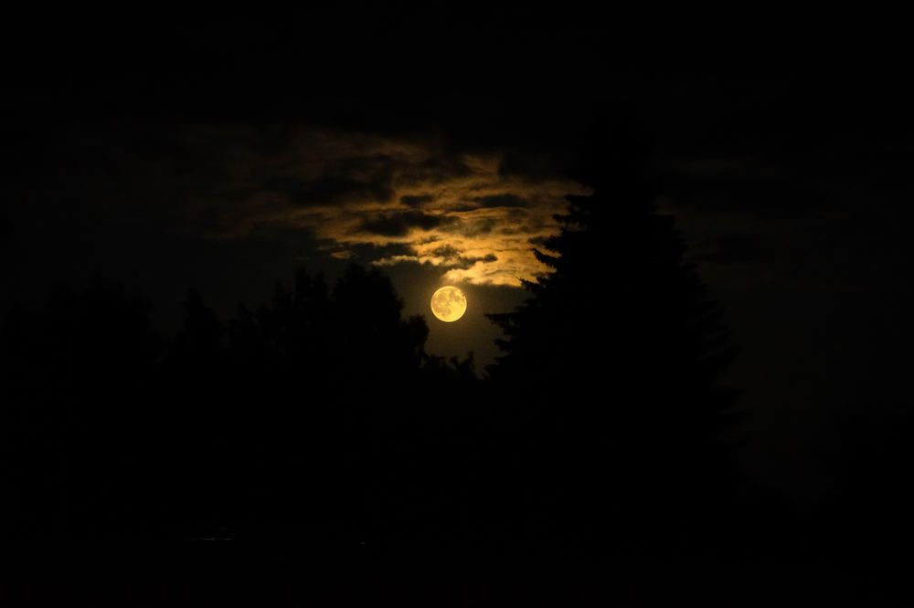 Photograph by Виктор Бурмистров