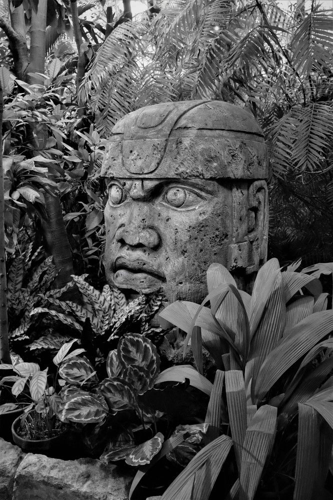 Photograph by ОЛЬГА ДЕРБЕНЕВА