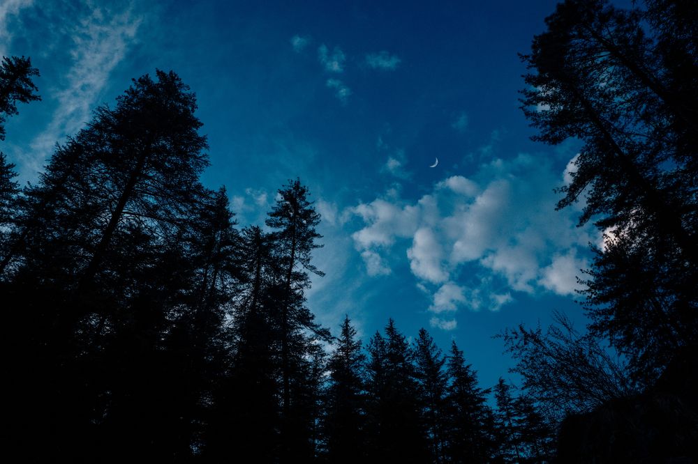 Photograph by Abdullah Ahmad