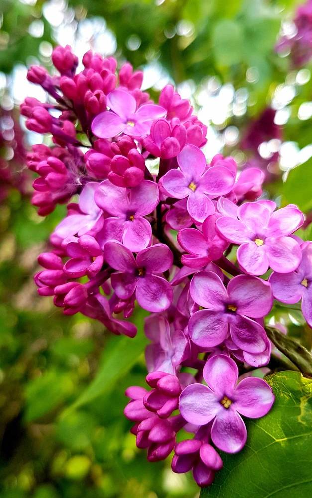 Photograph by Marina Kozlova