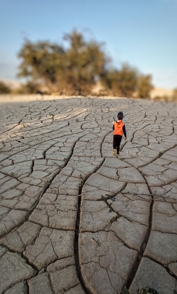 Photograph by Sodabe Arabzade