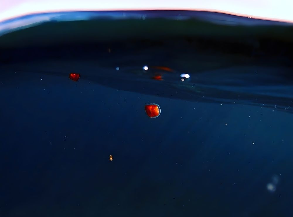 Фотография автора Diana Aurora