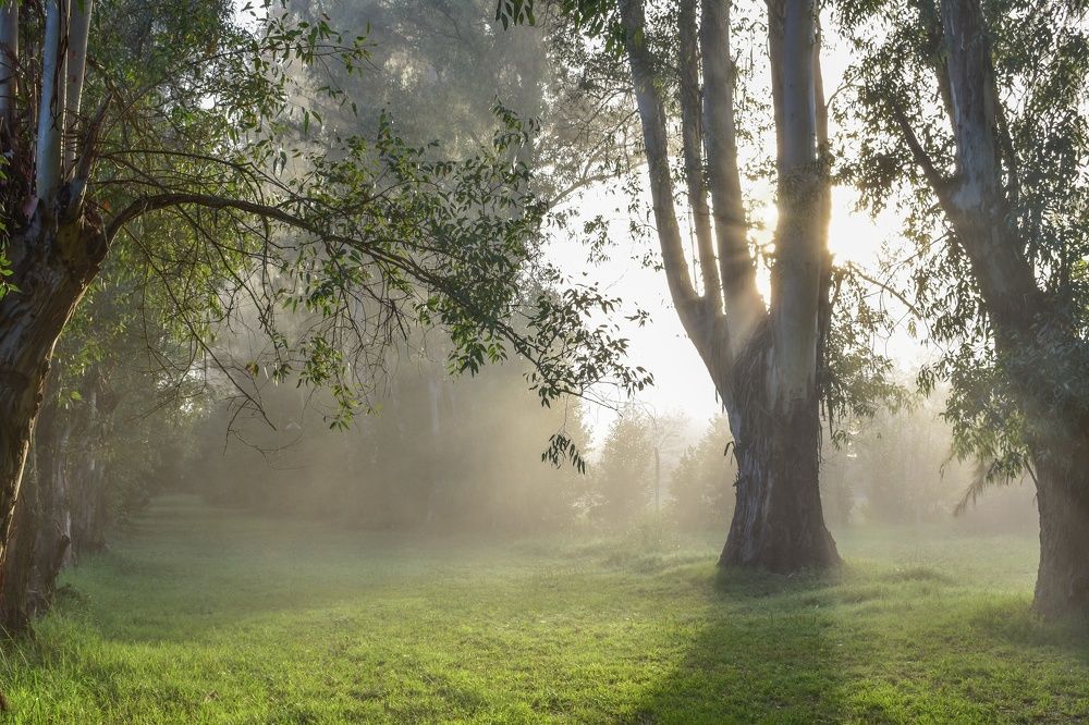 Photograph by Carina Albelda