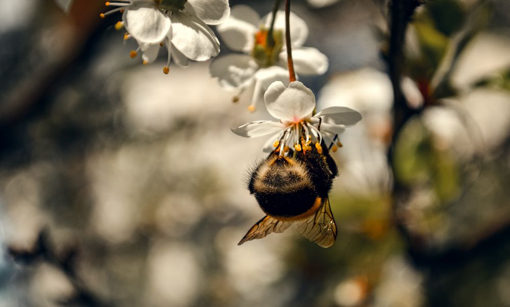 Photograph by Софья Милитарева