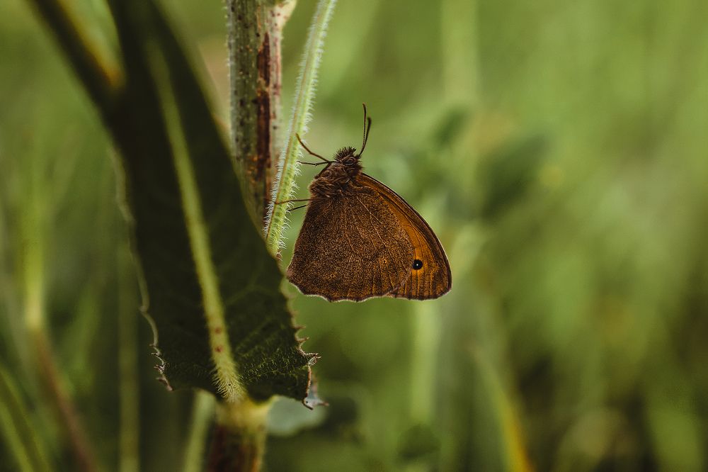 Фотография автора Татьяна Тур