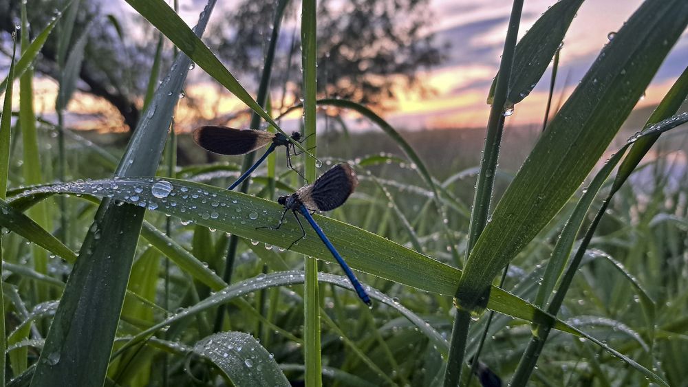 Photograph by Михаил Беляев