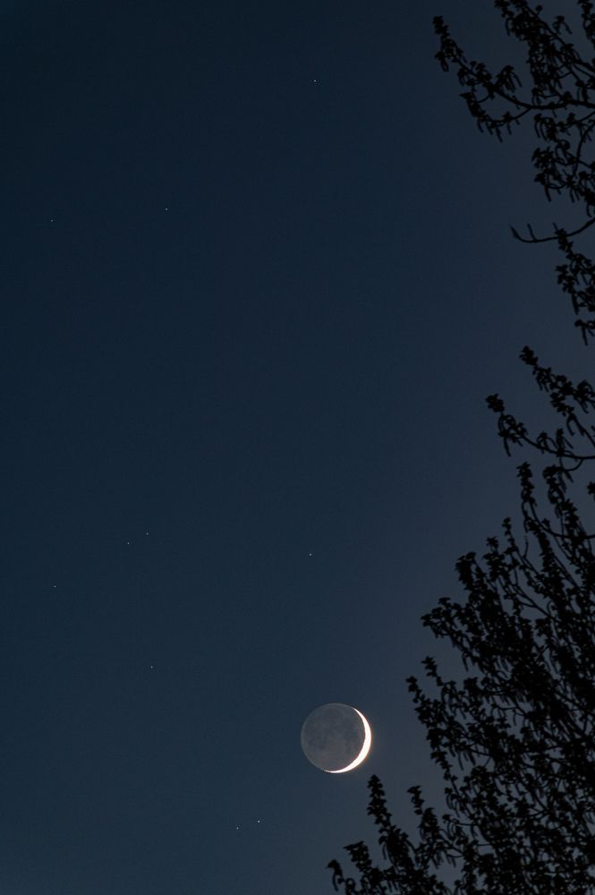 Photograph by Алексей Чудин