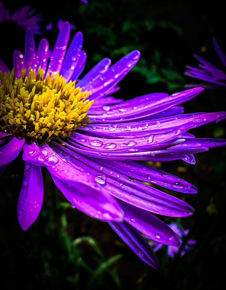 Photograph by Сергей Степаненко