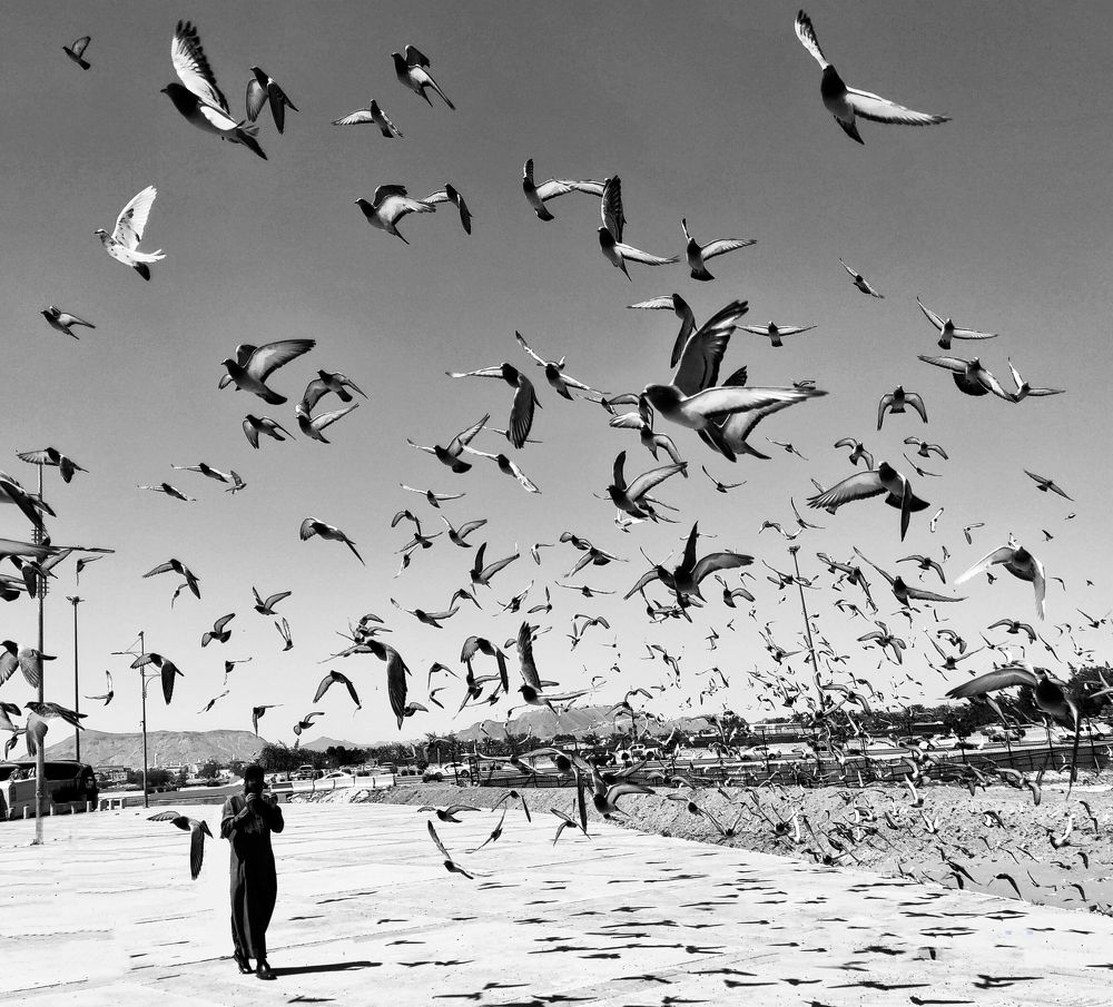 Фотография автора Lubna shaikh