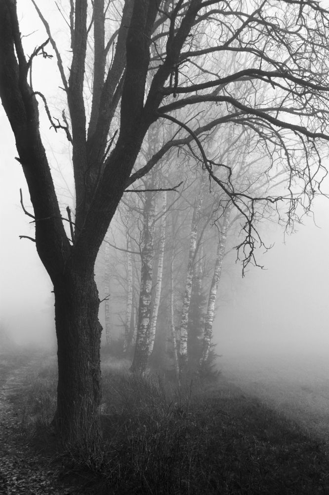 Photograph by Aušrinė Bui