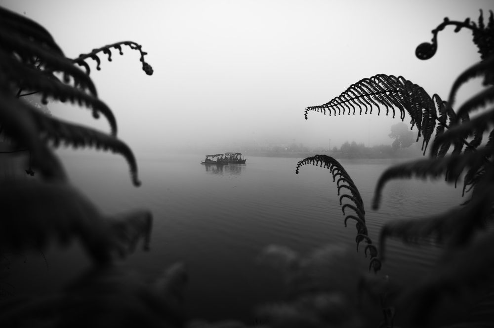 Silence & Nature