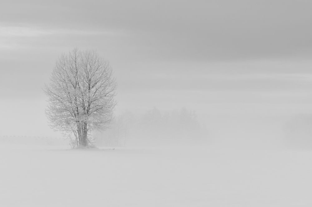 Photograph by Aušrinė Bui