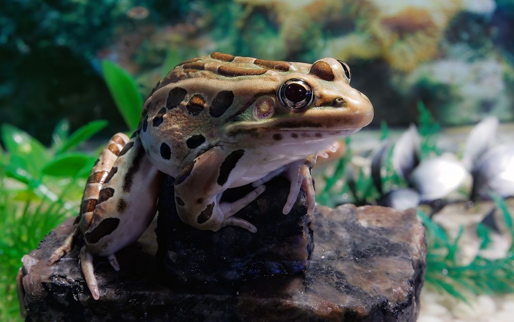 Photograph by Stéphane Boucher