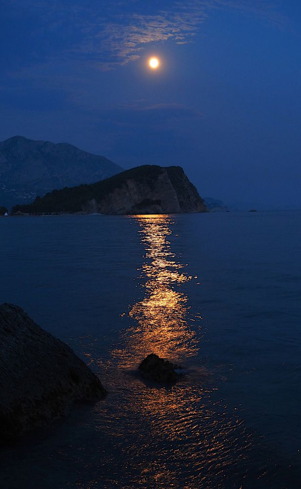 Photograph by Ирина Протченко