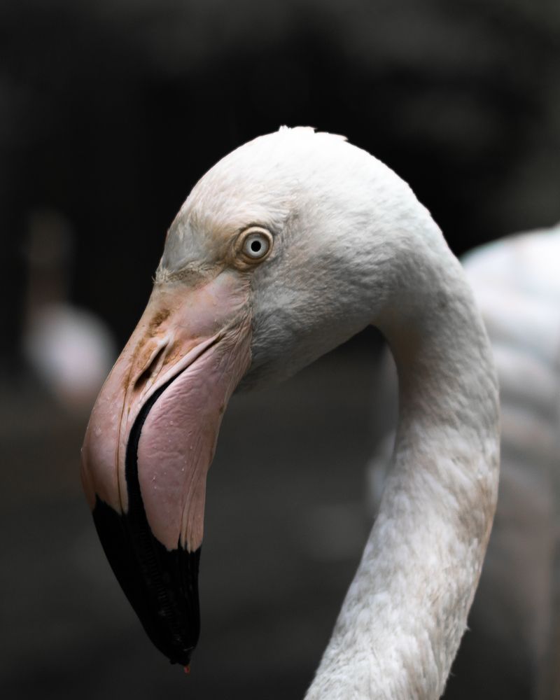 Photograph by Stefano Sthephen