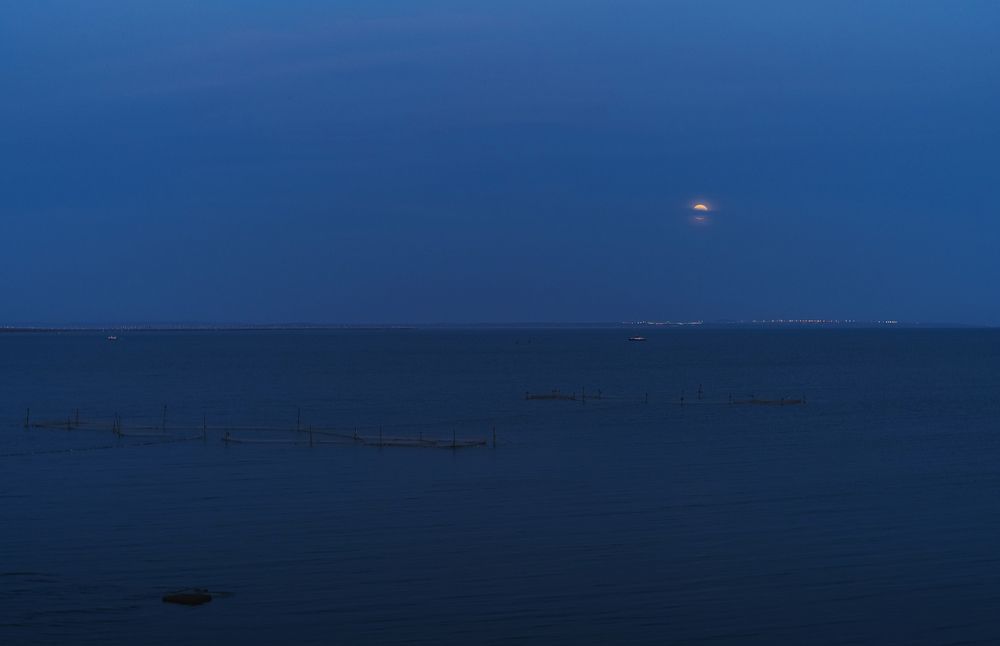 Photograph by Щербак Анатолий