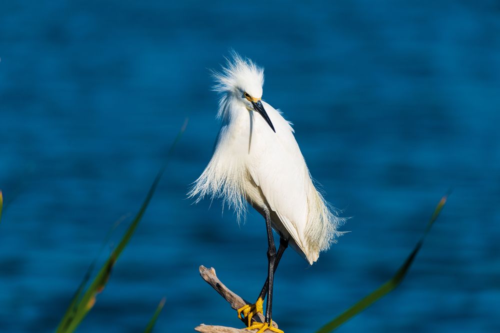 Photograph by RyanCarterMedia