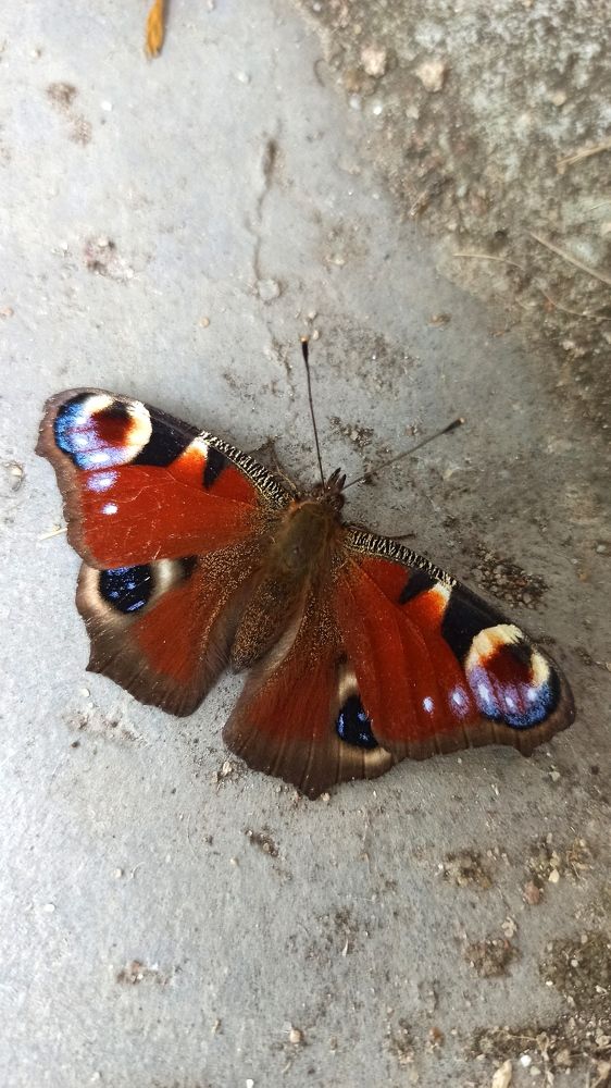 Photograph by Людмила Щуцкая