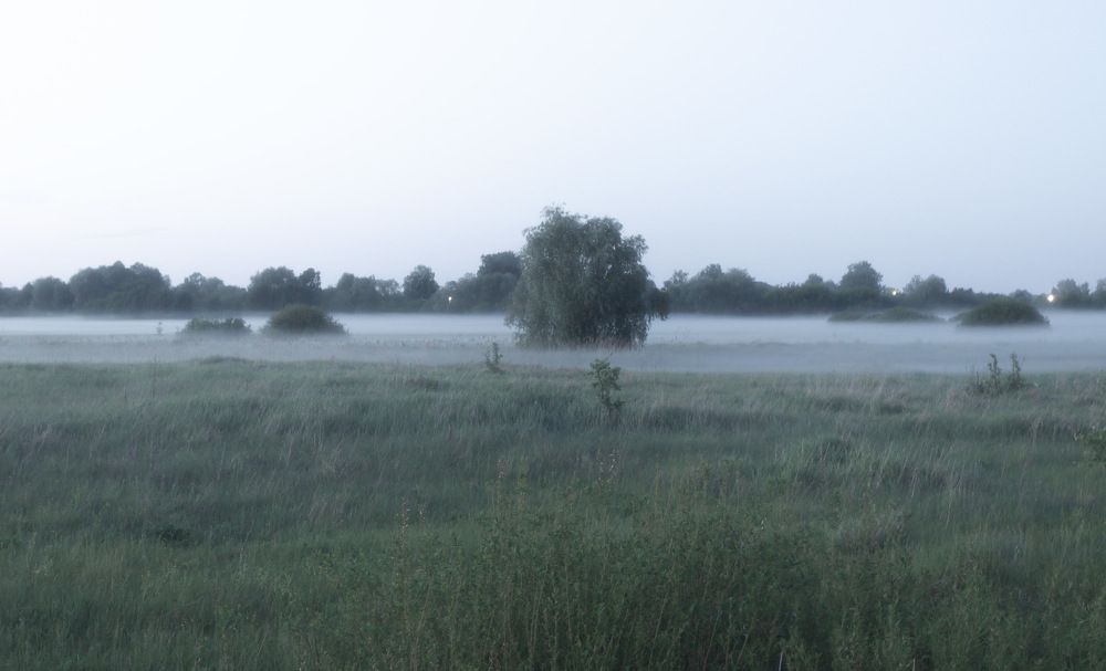 Photograph by Вячеслав