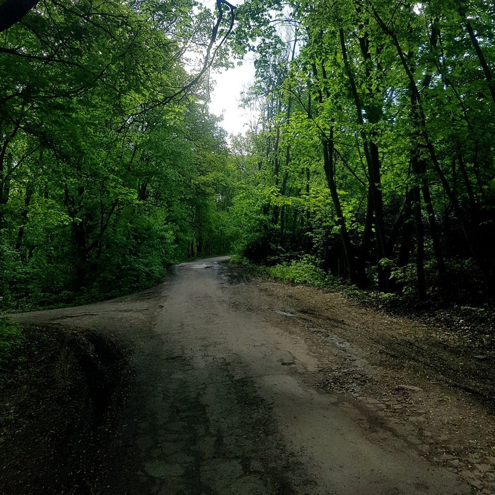 Photograph by Marina Kozlova