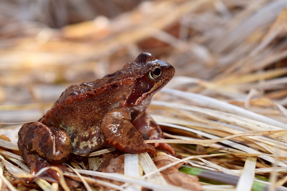 Photograph by Aušrinė Bui