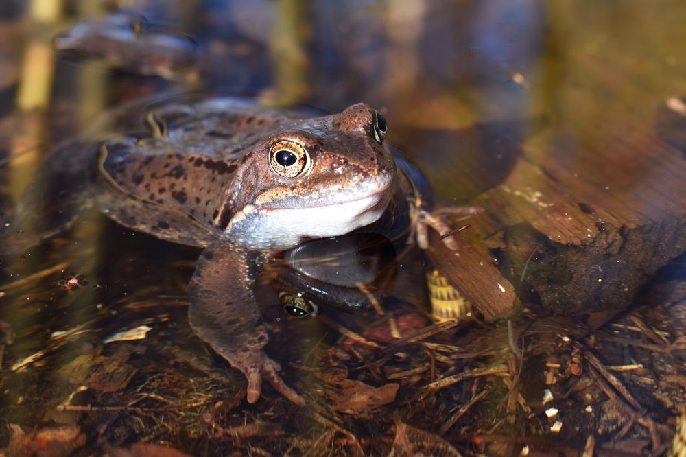 Photograph by Aušrinė Bui