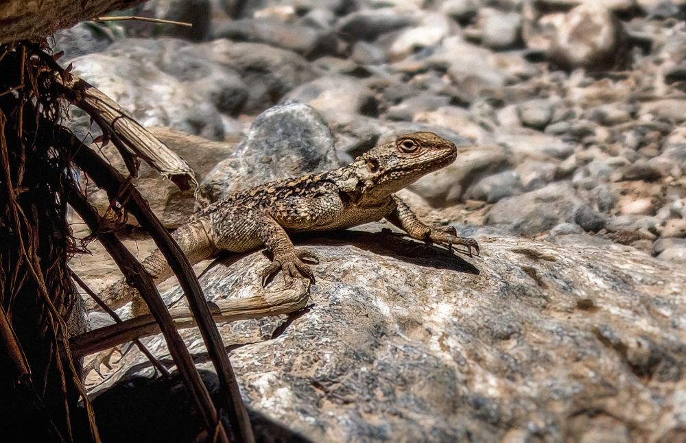 Фотография автора Jafar Zavvar