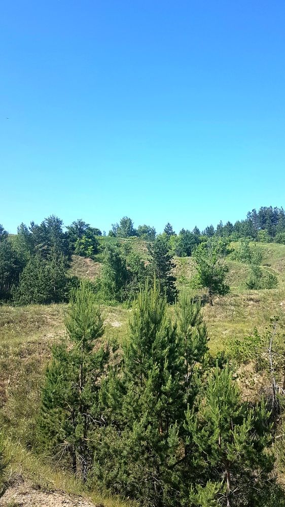 Photograph by Marina Kozlova