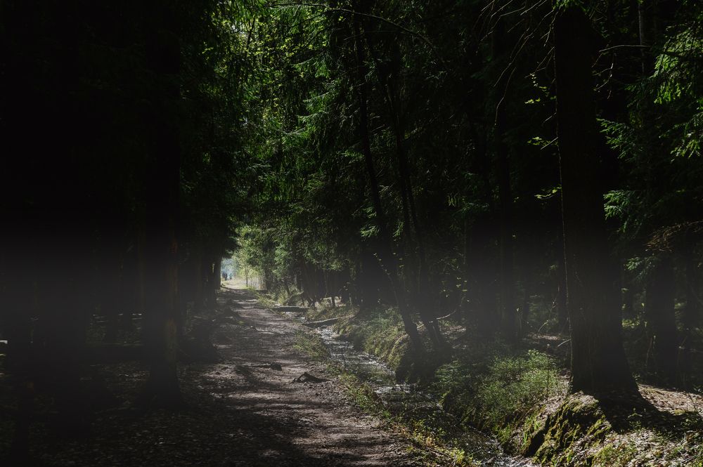 Photograph by Максим Кольцов