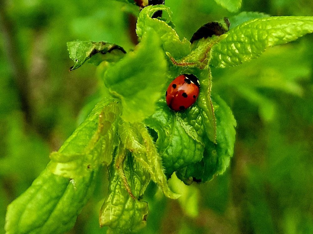 Photograph by Marina Kozlova